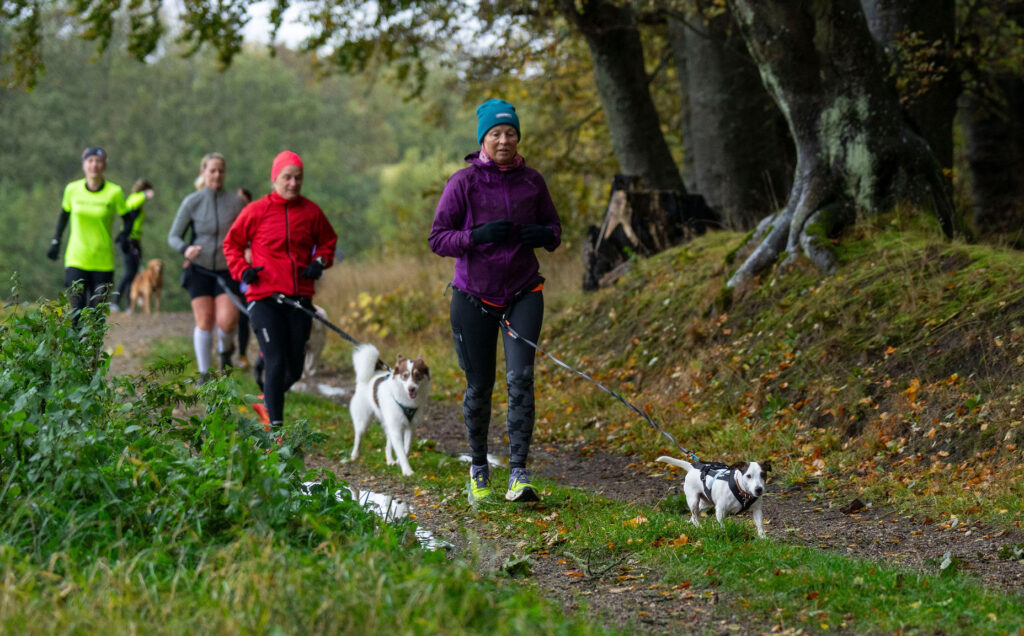 Canihike vandring med hund