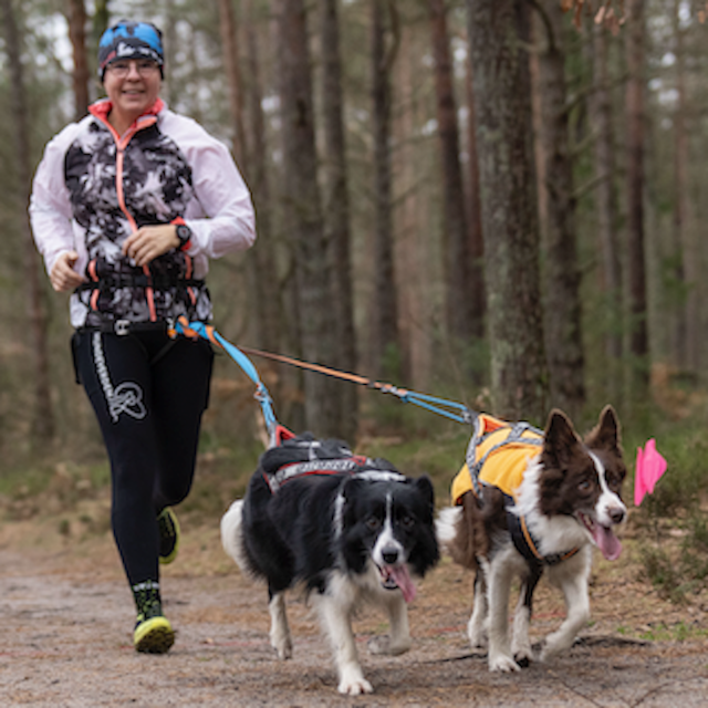 Canicross with two dogs