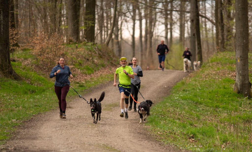 Fælles løb med hund